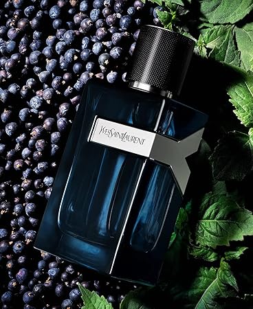 YSL Y Eau de Parfum Intense for men