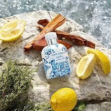 Light Blue Pour Homme Summer Vibes Dolce&Gabbana for men