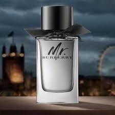 Mr. Burberry Burberry for men