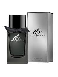 Mr. Burberry Burberry for men