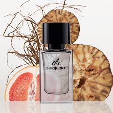 Mr. Burberry Burberry for men