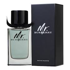 Mr. Burberry Burberry for men