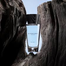 Touch for Men Burberry for men